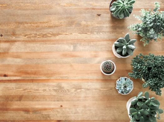 メンズ熊本店 FAURA【ファウラ】